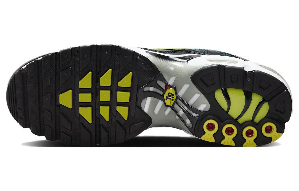 Nike Air Max Plus Яркий Кактус DM0032-006