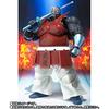 Bandai Big the Martial Arts Web Store S.H.Figuarts "Kinnikuman" (Tamashii Limited)