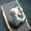 Wood Anti Cat Scratcher Cat Scratch Board Bed 3 In 1 Pad Vertical Pet Cat Toys Grinding Nail Scraper Mat Training Grinding Claw