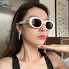 Polarized Oval Frame Sunglasses Female Retro Personality Street Shot Sunglasses Male