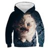 Autumn 3D Cat Pattern Printed Top Fashionable Casual Long Sleeved Children's Boy Hoodies