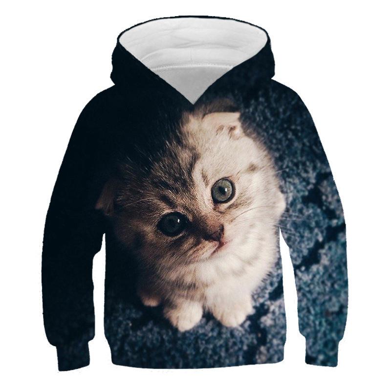 Autumn 3D Cat Pattern Printed Top Fashionable Casual Long Sleeved Children's Boy Hoodies