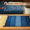 Hagiwara Gabbeh Entrance Mat for Indoor 45X75cm Thick 270034211 Use, Approx. "GABBEH D16" Wool, Hand-woven,