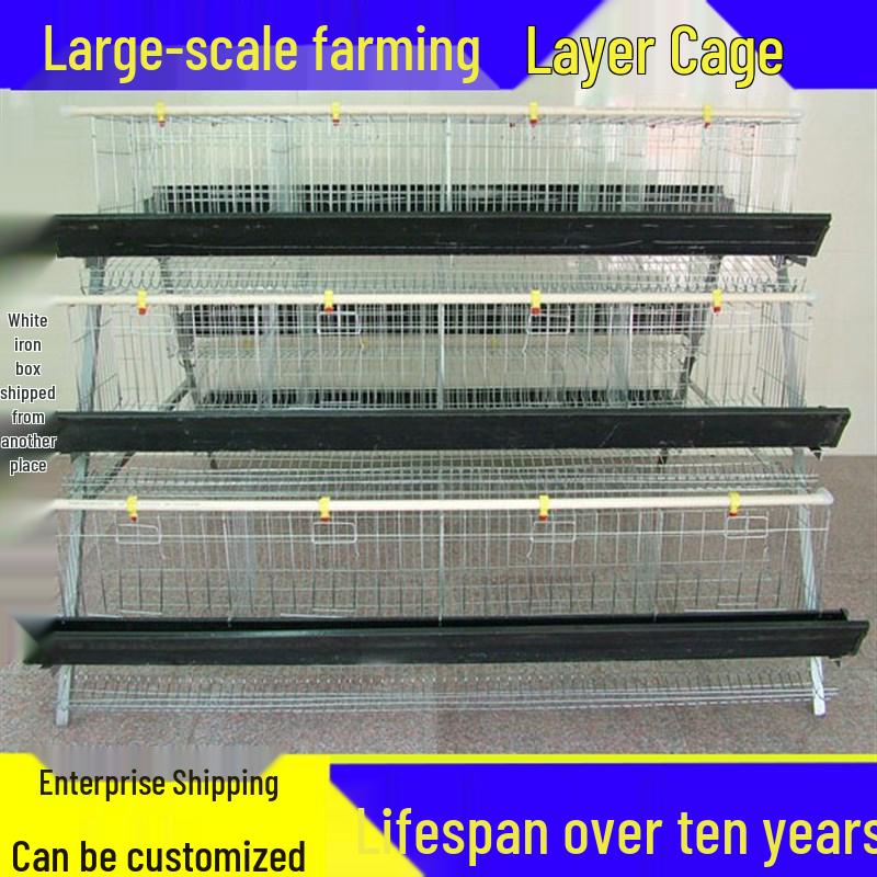Three-Tier Automatic Thickened Chicken Coop for Egg Breeding