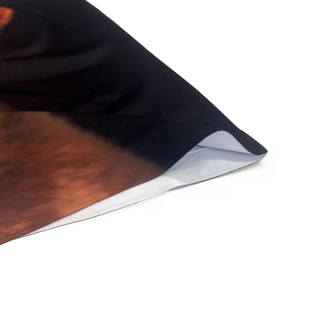 ANIMAL (Koshiba) Men's Polyester Boxer Briefs, HIPSHOP HF4241A126