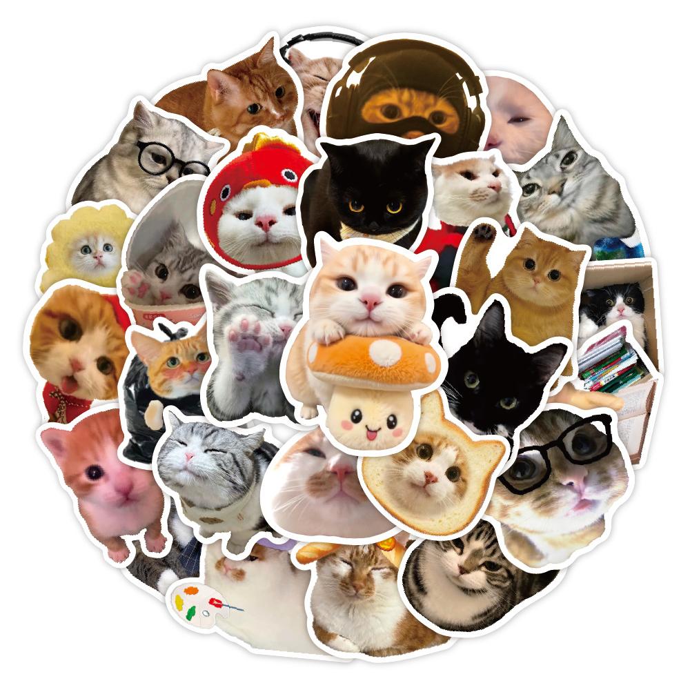 10/30/50 шт. Кавайные наклейки с рисунками животных, кошек, смешных котят, МЕМЫ, наклейки для чемодана, шлема, ноутбука, телефона, милые декоративные наклейки, игрушки