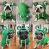 Толстовка с капюшоном для собак, свитера для щенков, пальто, милый костюм для собак с зеленой лягушкой, зимняя теплая куртка для домашних животных, одежда для холодной погоды, собачий наряд