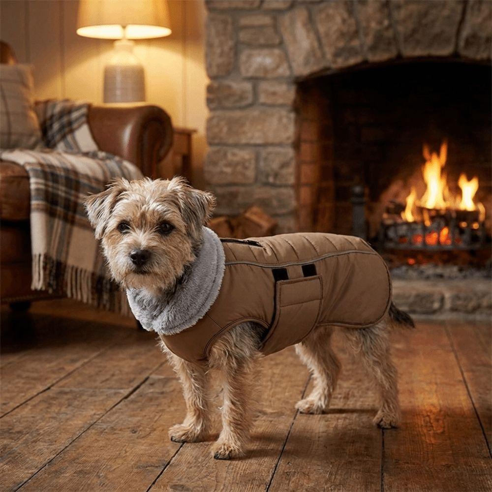 Warm Dog Winter Coat Windproof Dog Ski Suit Practical Dog Cotton Coat Outdoor