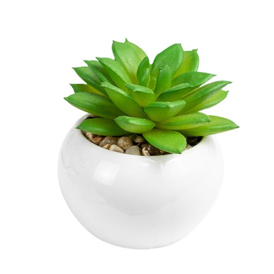 Поддельные растения, мини-реалистичные, широкое применение, высокое качество, натуральные яркие мульти-стильные искусственные суккуленты, бонсай для гостиной