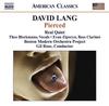 CD DAVID LANG, GIL ROSE, BOSTON MODERN - David Lang: Pierced (American Class 8559615 Naxos 2008 US Classical Used
