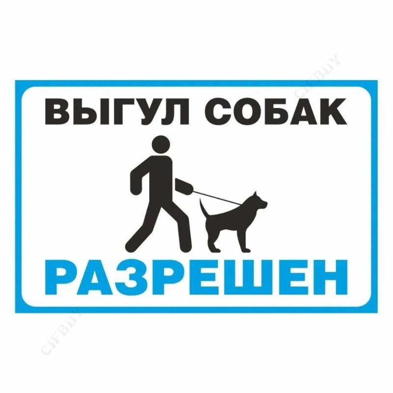 Металлическая табличка «Выгул собак запрещен», табличка для мастерской 20x30 см