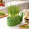 Stylish Hydroponic Pot with Scissors for Garlic and Scallion Regrowth Enhances Kitchen Decor
