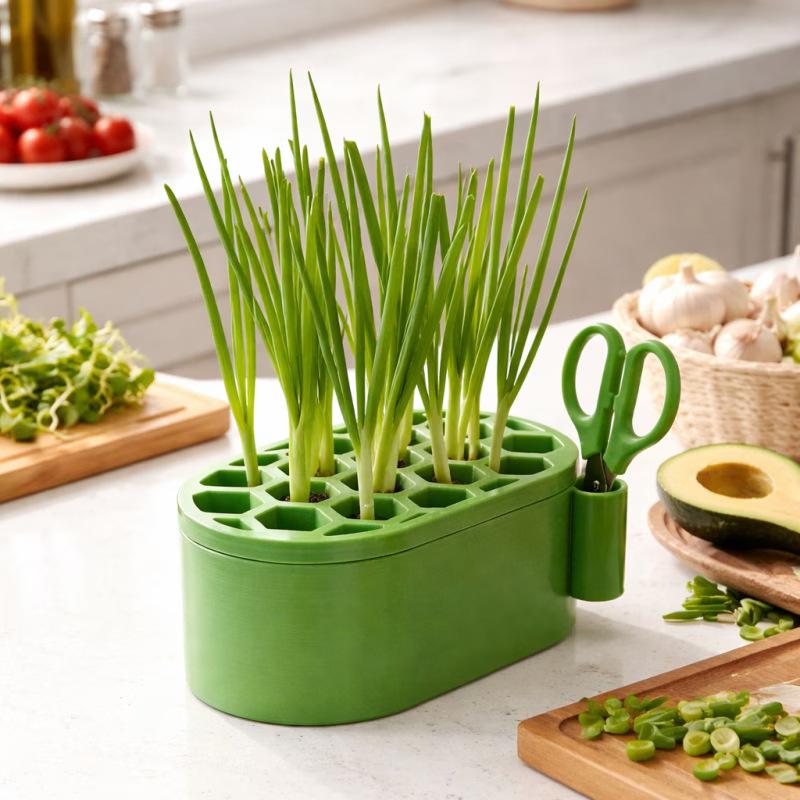 Stylish Hydroponic Pot with Scissors for Garlic and Scallion Regrowth Enhances Kitchen Decor