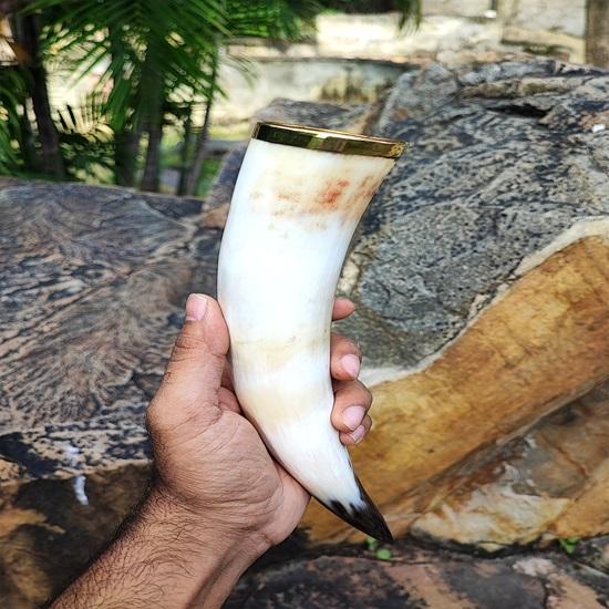 Set of 8 Viking Style Drinking Horns Mug with Stand Authentic Horn Beer Steins