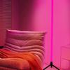 RGB напольная лампа с изменением цвета Управление через Bluetooth-приложение Пульт дистанционного управления Атмосферный свет Питание от USB Регулируемая яркость Напольная лампа