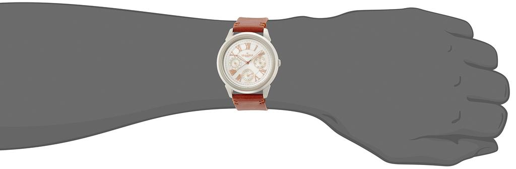 Watch GRP004W1 Brown [Grandeur Plus]
