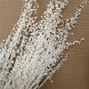 Mini Everlasting Dried Flower Bouquet for Home, Wedding, and Display Décor