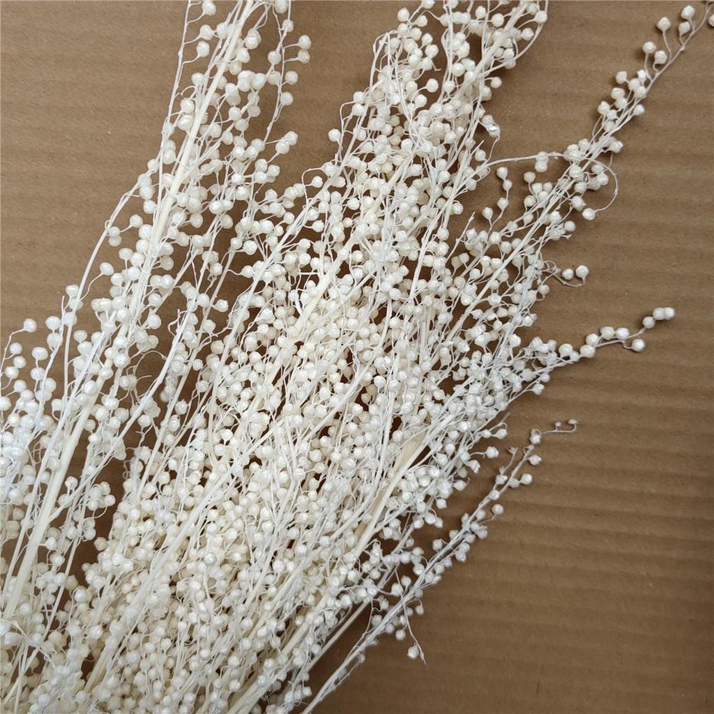 Mini Everlasting Dried Flower Bouquet for Home, Wedding, and Display Décor