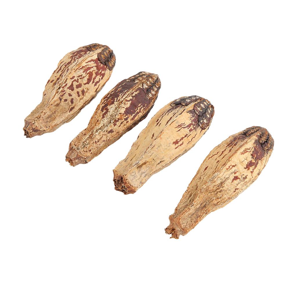 5 Bag Parrot Chew Nuts Relieve Boredom Sharpen Mouth Natural Home Decorative Dried Nut