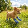 4PCS Wear Resistant Dog Anti-slip Socks Elastic Pet Floor Socks Pet Footwear  for Dogs Cats