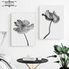 Цветочный постер, черно-белая настенная живопись на холсте, бутон мака, простой пейзаж, скандинавские принты, фотографии для декора гостиной