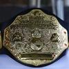 World Heavyweight Wrestler Champion Wwe Big Gold Belt For Wear And Display