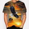 American Eagle Graphics T-Shirt For Men 3D Print Tees Animal Camisetas Pattern Short Sleeve Tops Summer Casual Men's Clothing