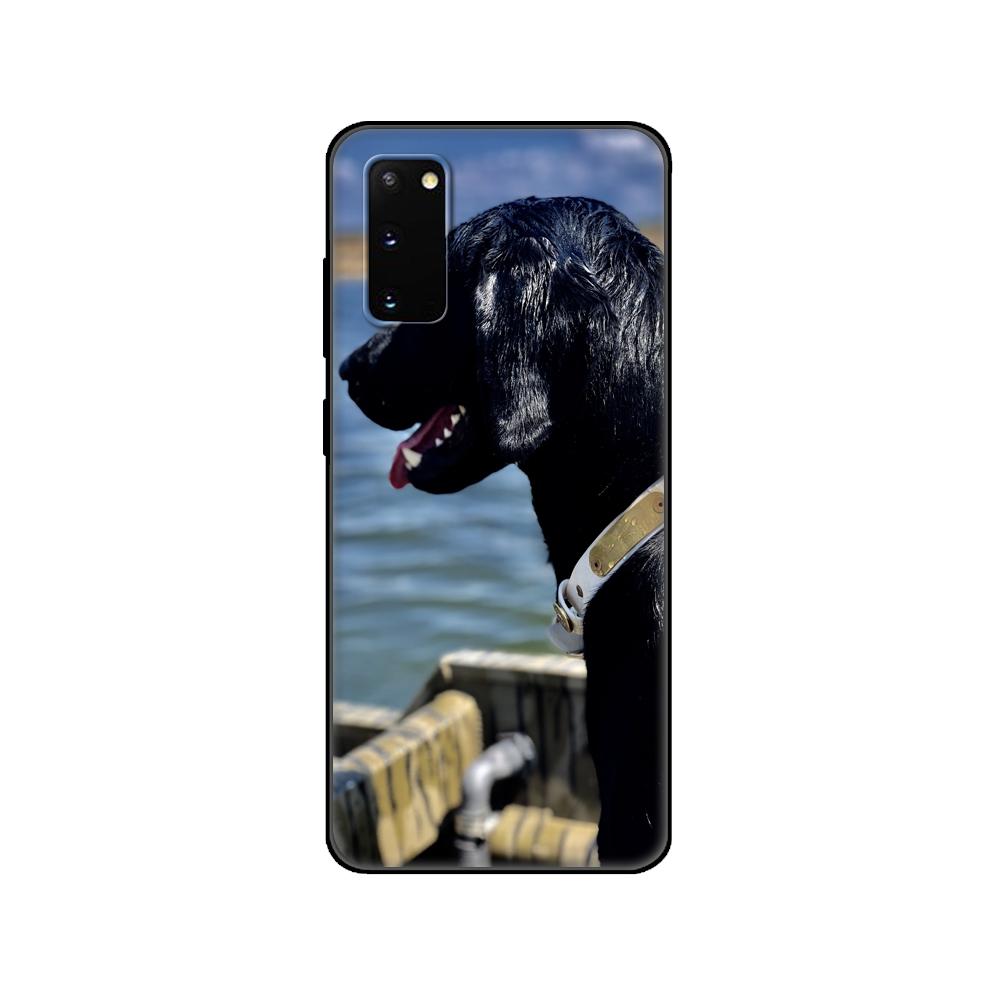 Черный чехол из ТПУ для Samsung Galaxy S20/S20 PLUS/S20 ultra/S20+/S20FE задняя крышка охотничья собака и рыбак
