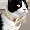 Pet Cooling Ice Scarf Ice Towel Heatstroke Dogs Cats Ice Collar Adjustable Cat Collar Bib Summer Breathable Cooling pet Supplies