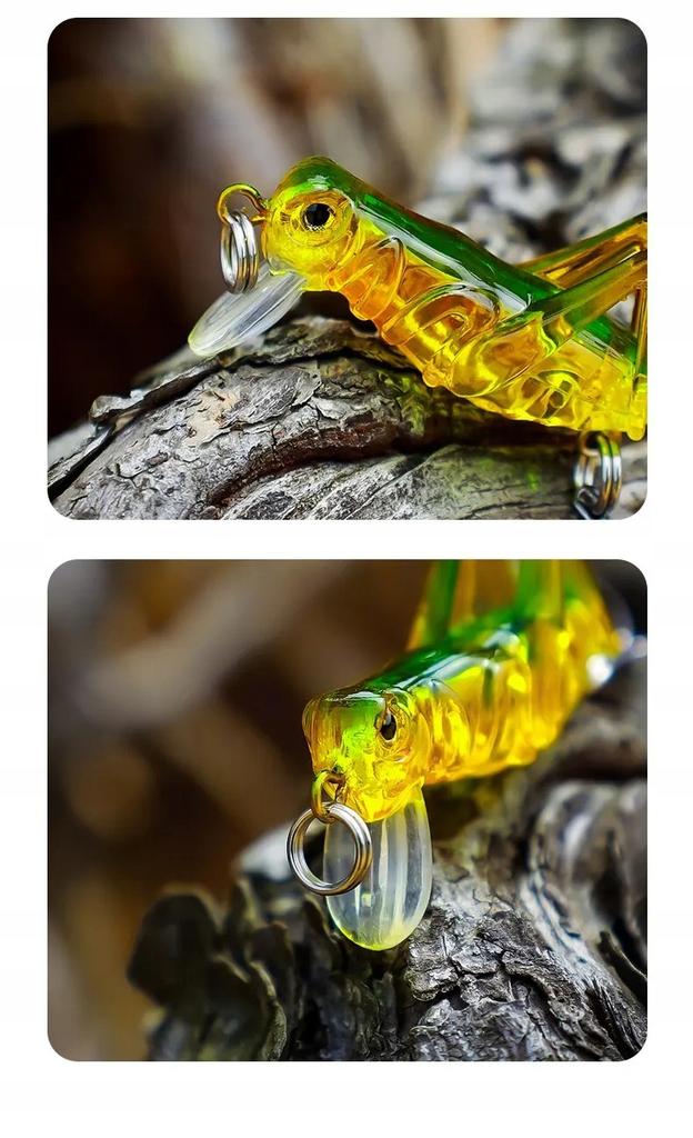 Wobbler Grasshopper Grasshopper Cicada Fishing Bait Pike Zander 4Cm