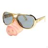 Funny Children Sunglasses Piggy Snout Eye Glasses Fancy Dress Costume