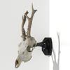 2 Pieces Metal Wall Hook Bracket Heavy Duty Hanging Hangers Space Saving