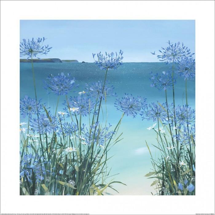 Claire Henley Summer View Of Gull Rock Print