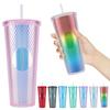 710ml Plastic Straw Cup Drinking Cup Double-Walled Water Tumbler with Lid Bubble Tea Cup Large Capacity for Home & Outdoor