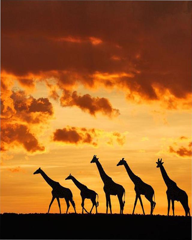 5D алмазная живопись закат тень горный хрусталь комплект художественная алмазная вышивка пейзаж Алмазная мозаика рукоделие украшение дома