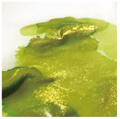18ml Glass Bottle Color Gold Powder Ink Tonable Non-carbon Vegetable Dye Art Dip Pen Watercolor Painting Creation Toning Ink