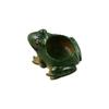 Breathable Frog Succulent Plant Pots Resin Plant Planter Art Potted Plants Frog Flower Pot  Garden