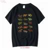 Frog T Shirt Toad Amphibian Cottagecore Whimsigoth Clothing Goblincore Herpetology Frogs For Vintage Vintage Versatile