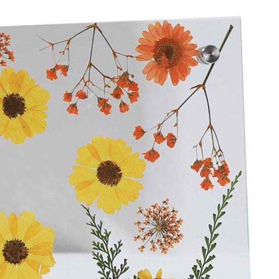 Acrylic Photo Frame Clear Picture Frames Tabletop or Wall Mount Display Frame