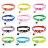 Pet Patch Цветной колокольчик для кошек с пряжкой