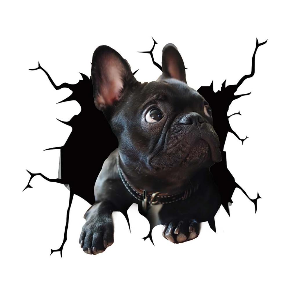 Stickers Scratch Waterproof Marks Headlight Decal Car Sticker Pet Cat French Bulldog Sticker