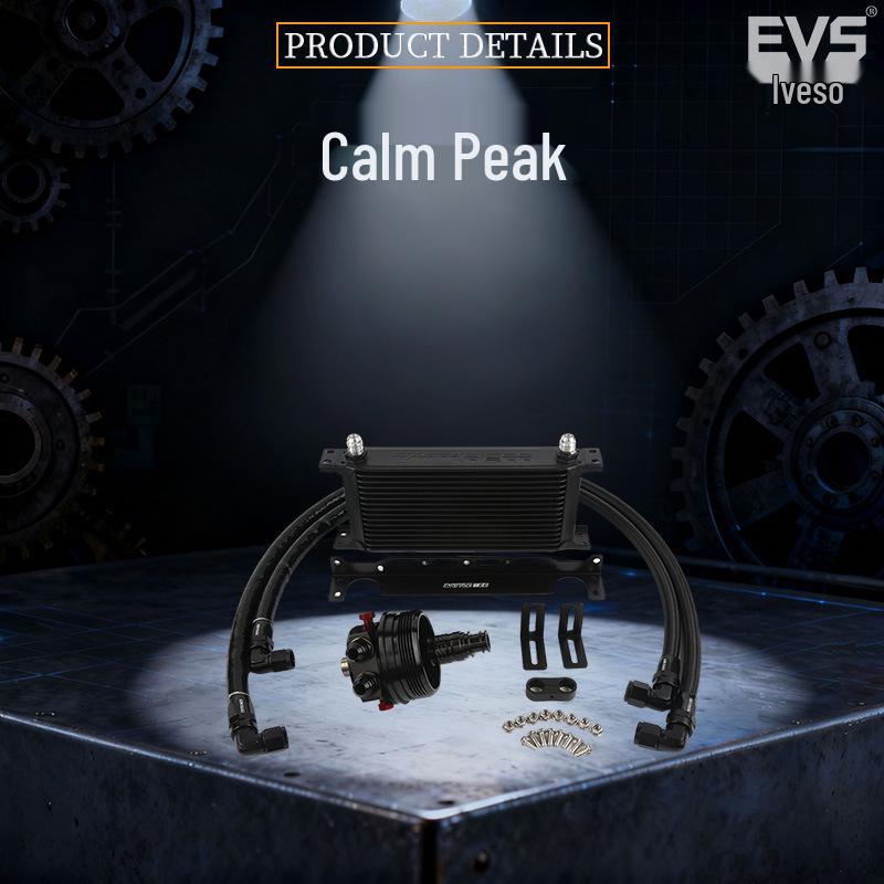 BMW E87 E91 2.0T N46B20 Engine Oil Cooler Radiator Kit