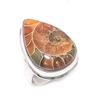 Ammonite Fossil Gemstone 925 Sterling Silver Jewelry Ring Size 8.5