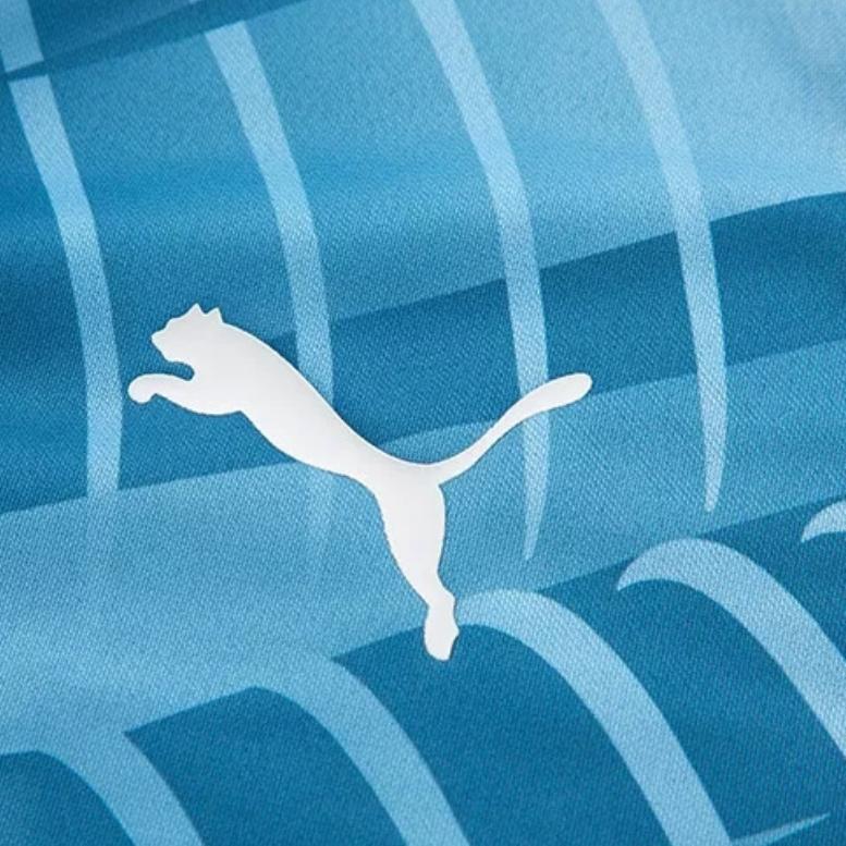 Puma Футболка мужская с длинным рукавом и полосатым принтом, воротник-стойка, синяя 772845-10
