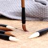 Кисть для письма Традиционная китайская каллиграфическая практика Кисть для письма Кисть для письма с волчьим волосом