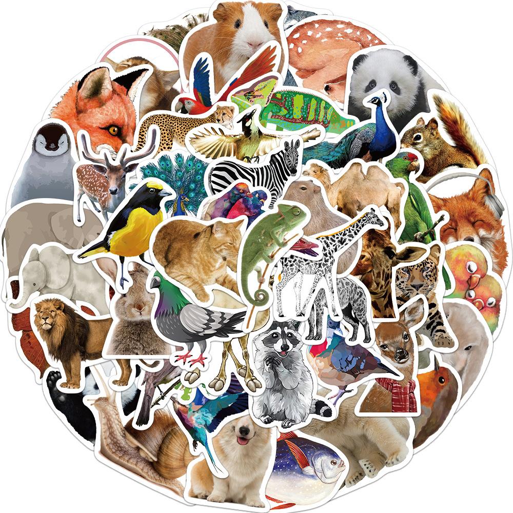 50 Oil Paintings, Animal Photos, Graffiti Stickers, Decorative Suitcases, Guitars, DIY Waterproof Stickers