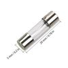 XIZUO Automotive Glass Tube Fuses (100-Pack)