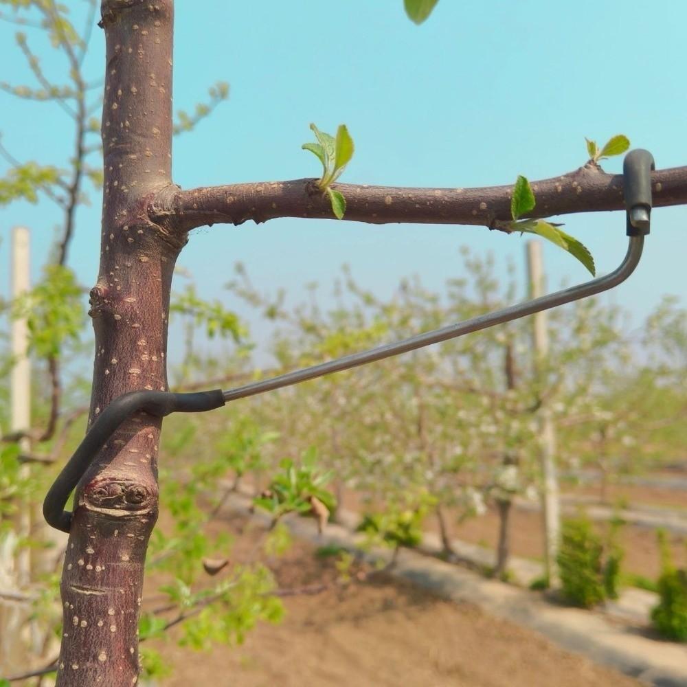 10Pcs Anti-Slip Metal Limb Spreaders Branch Bending Clips Outdoor Farm Planting