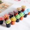 6Pcs Simulation Succulent Flower Pot Miniatures Garden Doll House Micro Landscape Decoration Lifelike Colorful Plant Figurine
