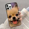 Pomeranian Dog Phone Case for iPhone 17 Air 16 16e 15 Plus for Apple 13 11 12 14 Pro Max Cover  coque fundas Shell